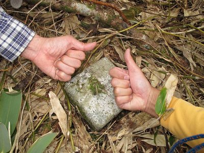 やったぜ！約束の山、南白山三角点。