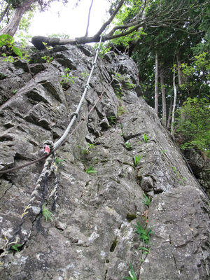 IMG_5504.jpg (442.46 KiB) 閲覧された回数 6266 回 大熊落とし