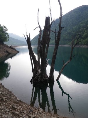 白水湖のオブジェ