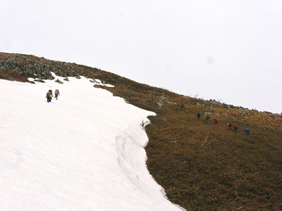 ヤブと雪.JPG (80.38 KiB) 閲覧された回数 4478 回 〇 ヤブと雪面を登る仲間、どちらがカシコイかな(^^)