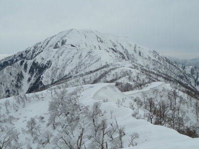 P1209から望む荒島岳