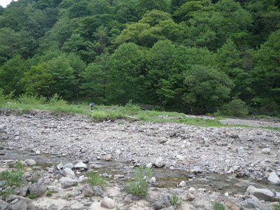 クマに襲撃された現場