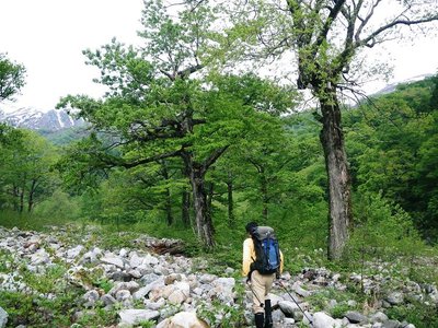 緑の湯谷河畔を歩く