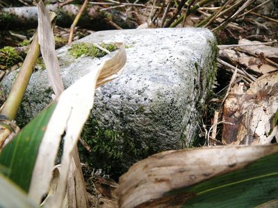 南白山の三角点