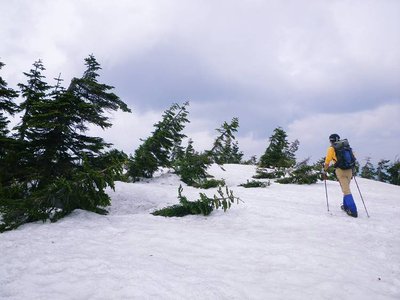 焼滑の山頂へ
