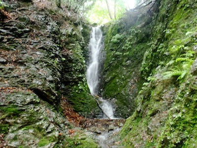 シャワークライムはもういいやと巻きました