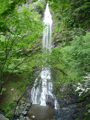 04不動滝2(1).JPG (983.53 KiB) 閲覧された回数 6056 回 不動滝