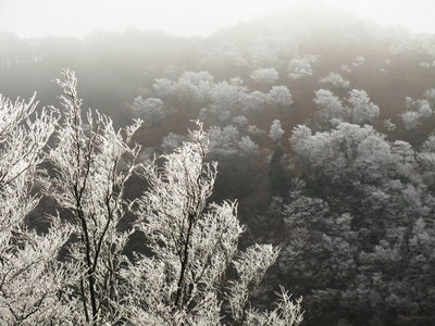 登りついたあたり