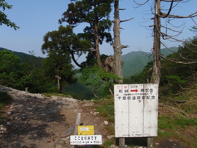 杉峠～ここまで削っちゃうの？