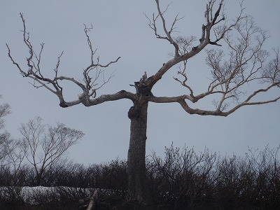 なんて言ってるんかな？