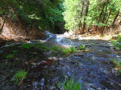 大滝・最初の二俣から下を見る。