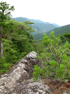 からすき谷左岸尾根