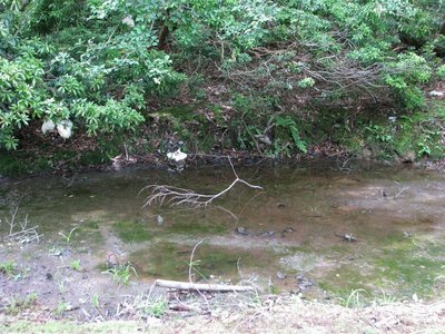 衣掛の泉・・・かも