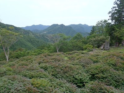 ココから千石山に落ちる夕日を見る予定だったのに