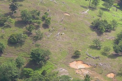 こんな時間にウロウロしている単独者。