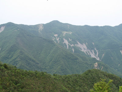 登ってきた尾根と迷岳