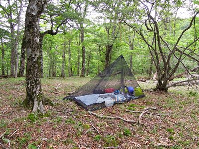 蚊帳の中で昼寝。