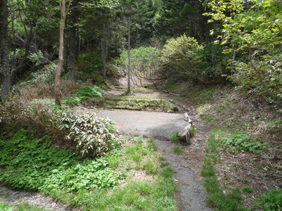 もう一つのテン場