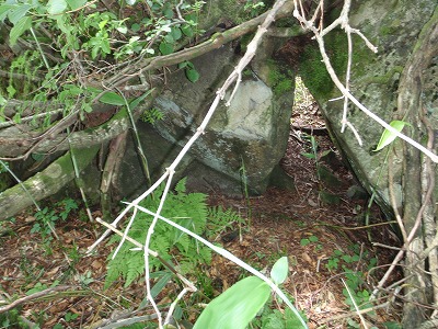 夏の一夜の苫家跡