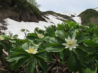 IMG_2680-s.JPG (150.32 KiB) 閲覧された回数 5761 回 キヌガサちゃん、ハイチ~ズ!