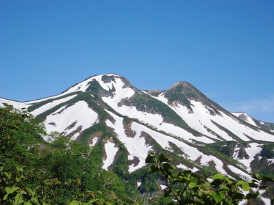 ●　朝は快晴でビワジイの変態コースも観察できた。