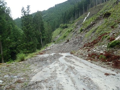 また崩壊した木屋谷林道
