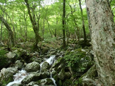 奥山谷（左俣出合付近）