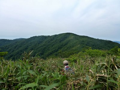 P1050072.JPG (201.9 KiB) 閲覧された回数 14005 回 激ヤブこぎ-P1206からの下り