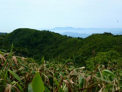 P1050092.JPG (184.06 KiB) 閲覧された回数 14005 回 左千方が見える(三国岳山頂から)