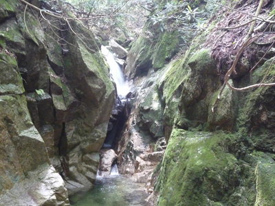 05滝 中央突破(1).JPG (925.14 KiB) 閲覧された回数 10415 回 滝 ここも正面突破