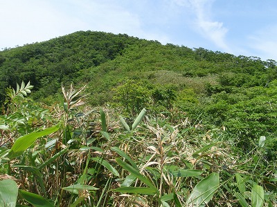 三国岳へあと少し