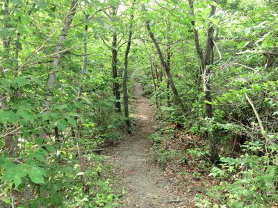 プロムナード.jpg (464.65 KiB) 閲覧された回数 3774 回 ルートは歩きやすいプロムナード