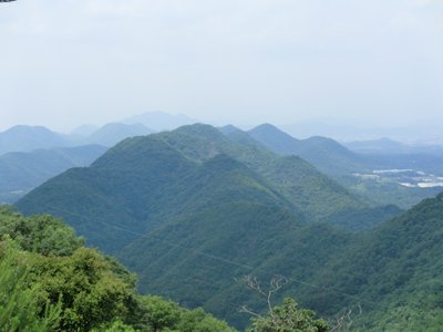 明王山から復路を望む（はるか・・・）