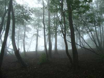 濃霧の東尾根