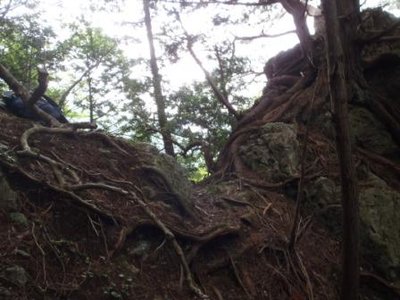 P6300026.JPG (46.4 KiB) 閲覧された回数 3762 回 にせ小峠