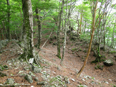 東尾根の二重山稜