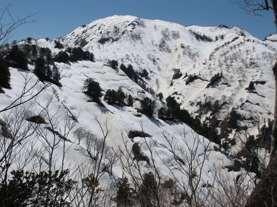 ぽぽたんはここで諦めました