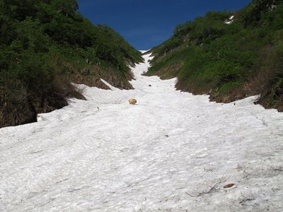 IMG_2846-s.JPG (157.23 KiB) 閲覧された回数 9058 回 うっひゃ~、長いねカンクラ雪渓