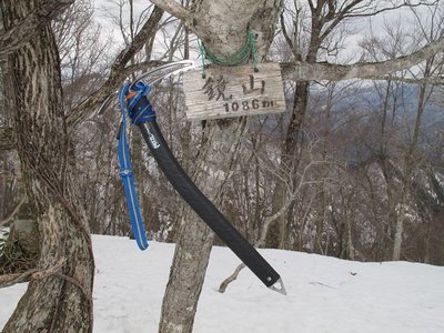 デビュー戦は鏡山でした。