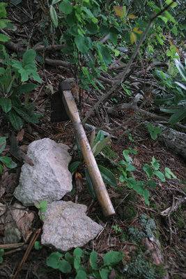 こんなんまでありました