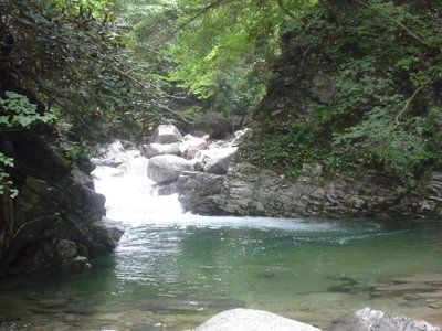 01最初のへつりポイント(1).JPG (609.02 KiB) 閲覧された回数 4559 回 最初のへつりポイント 今日は右岸をへつった