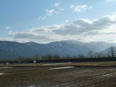佐開からの銀杏峰と部子山