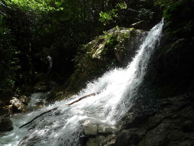 05仏谷分岐の滝(1).JPG (679.41 KiB) 閲覧された回数 4563 回 仏谷分岐の滝