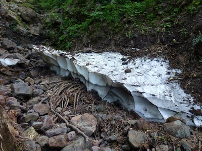 涸れ谷上部に残る雪渓