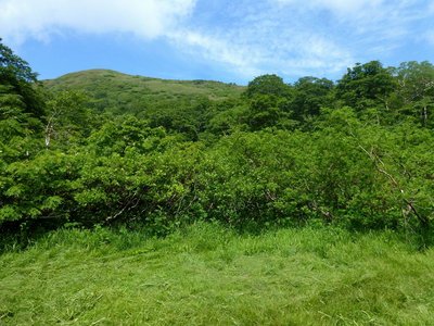 火口原から中岳方向を眺望