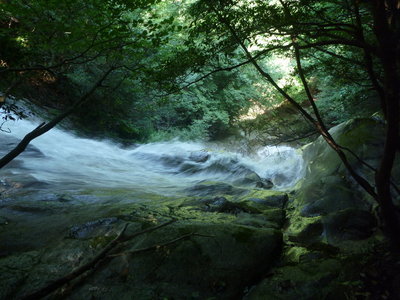 大岩谷15m滝落口