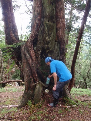 御神木に???するグーさん