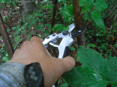壇上さんから教えてもらった片手剪定ばさみ。<br />伝授してもらった「自然への負荷を最低限に抑える登山道整備」をなるべく真似してみる。