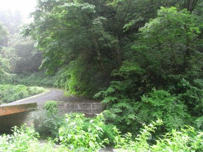 安蔵山の登り口よりかはマシでしょう、ってくらいの取り付き