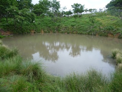 元池.JPG (449.76 KiB) 閲覧された回数 3712 回 静かな元池